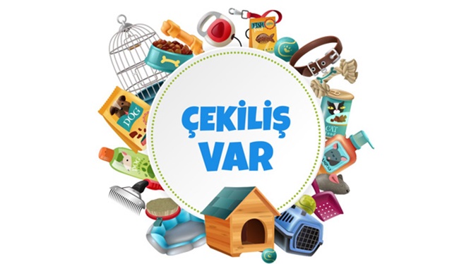 İnstagram Çekiliş Nasıl Yapılır?